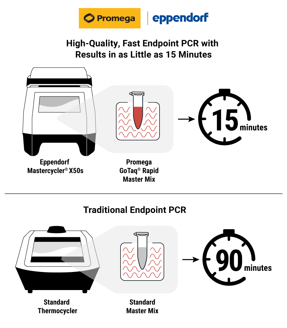 gotaq-pcr-eppendorf-press-release-figure-white-bg