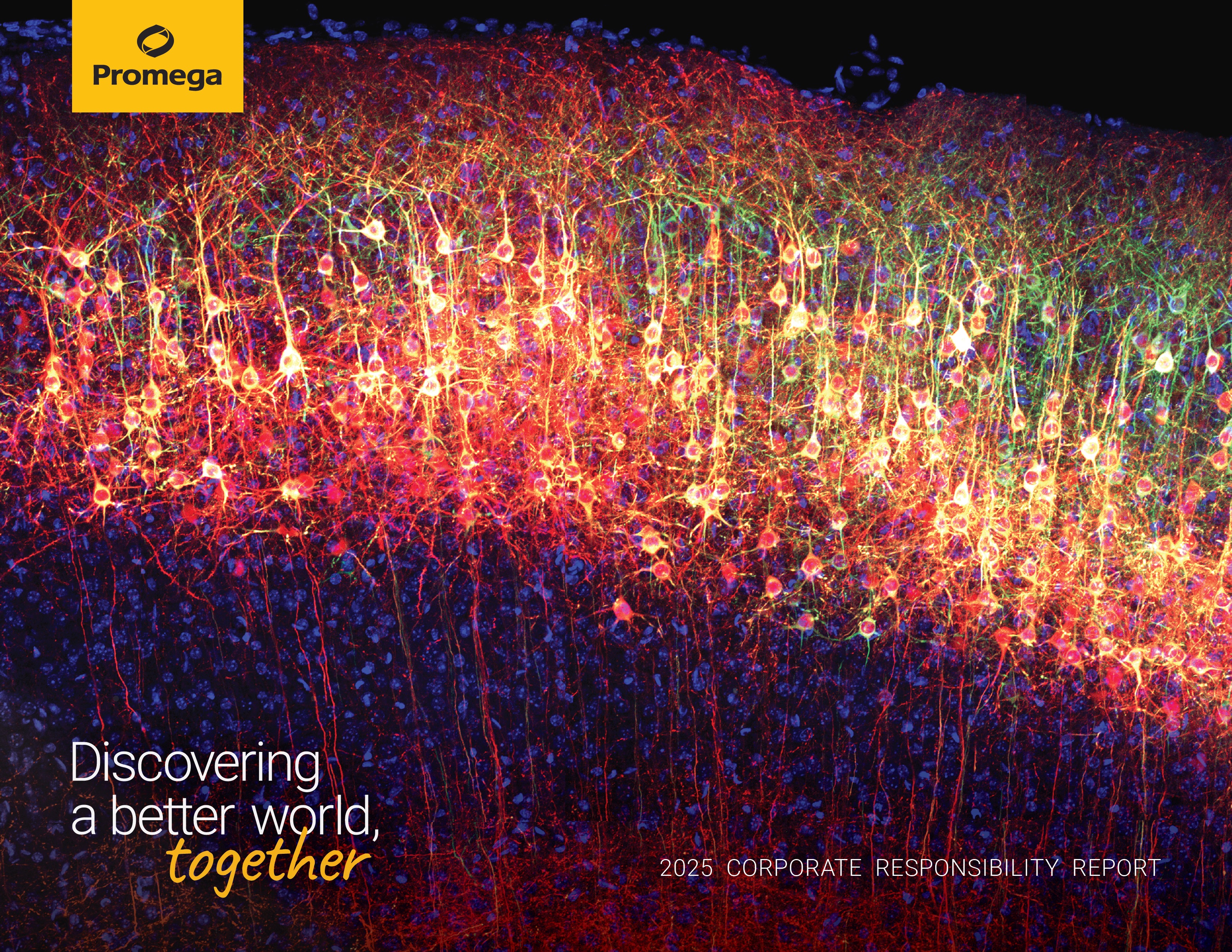 crr2025-cover-final-ap-29