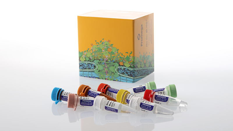 am2100gotaqenvirowastewatersarscov2systemn1n2e3