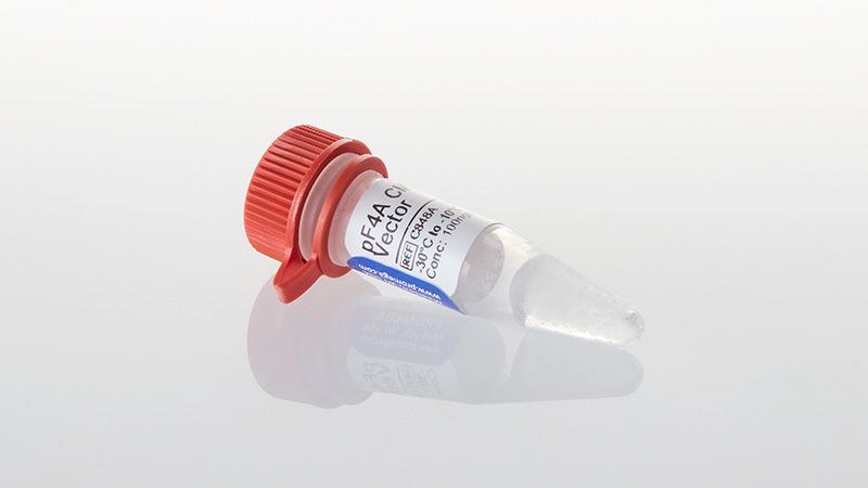 C8481_pF4A-CMV-Flexi--Vector--20ug_3