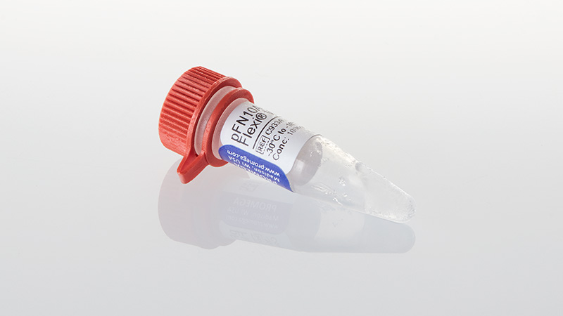 C9331_pFN10A--ACT--Flexi--Vector--20ug_3