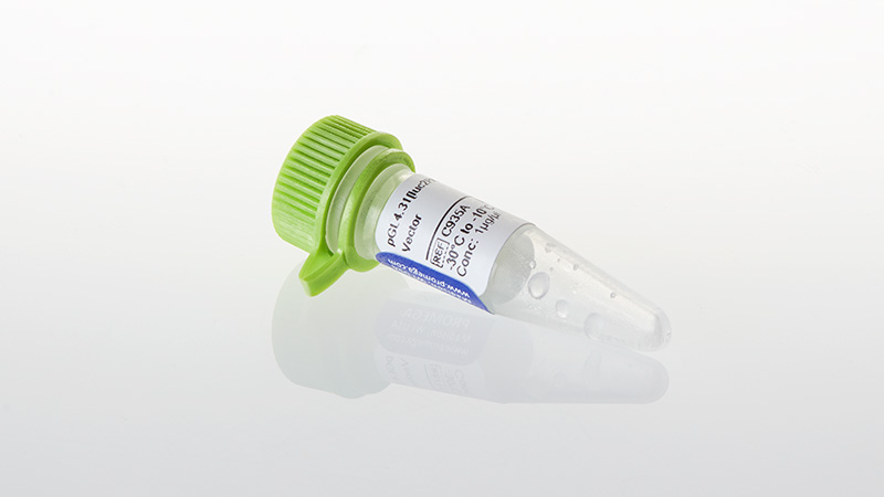 C9351_pGL4-31-luc2P-3aGal4UAS-3aHygro--Vector_3