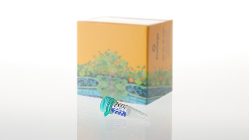 DD7101_2800M-Control-DNA--10ng-3aul--25ul_3