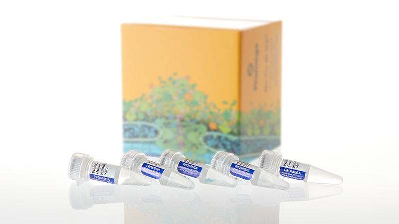 DW0991_Water--Amplification-Grade--6-250ul_3