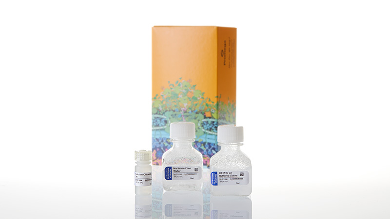 E1200_ProFection--Mammalian-Transfection-Sys_3