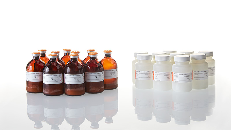 E2650_Bright-Glo--Luciferase-Assay-System_3