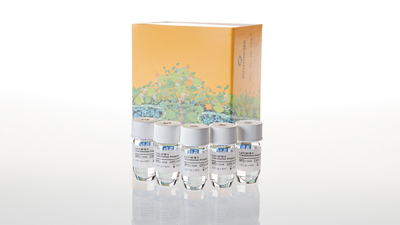 FuGENE 6 Transfection Reagent 5 x 1ml