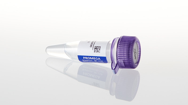 E4931_K562-Genomic-DNA--400ug-3amL_3