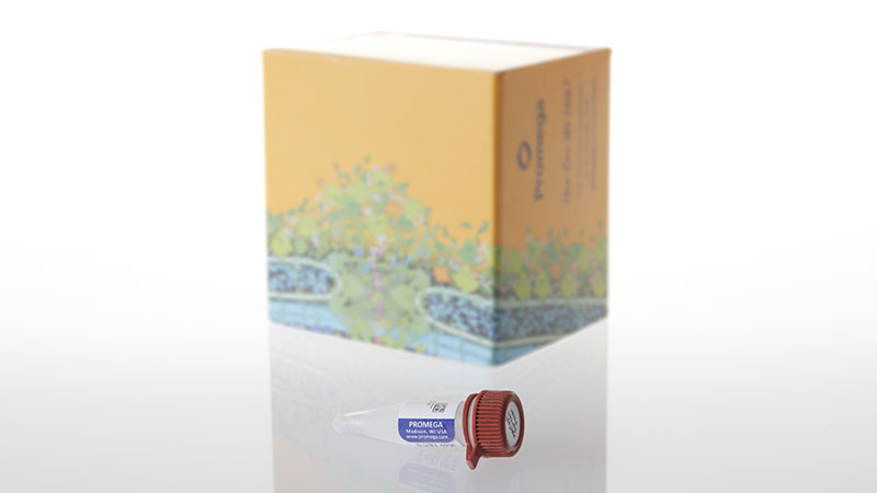 G4491_HaloTag--Standard-Protein_3