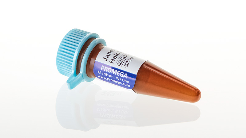 Janelia Fluor® HaloTag® Ligands | Janelia Fluor Dyes | Cell Imaging