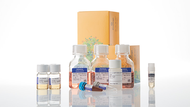 ja1241-raji-ldh-hibit-cd1920-ko-tck-bioassay