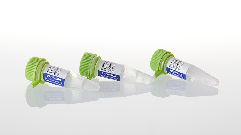M1893_Terminal-Transferase-Buffer-Pack_3