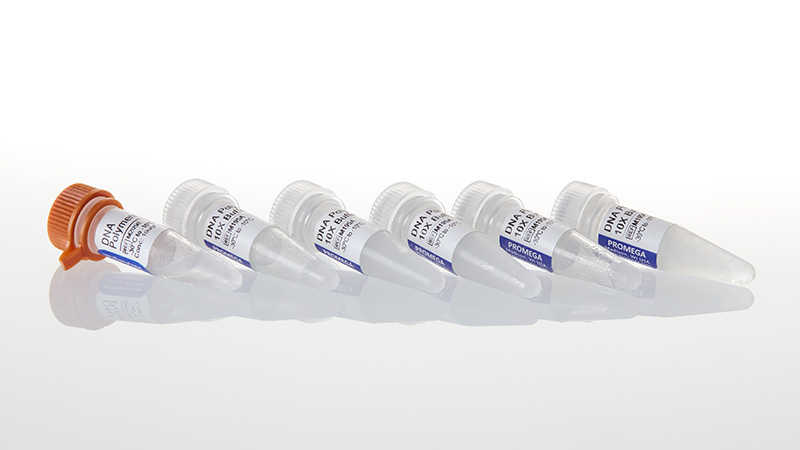 M2055_DNA-Polymerase-I--2-500u_3