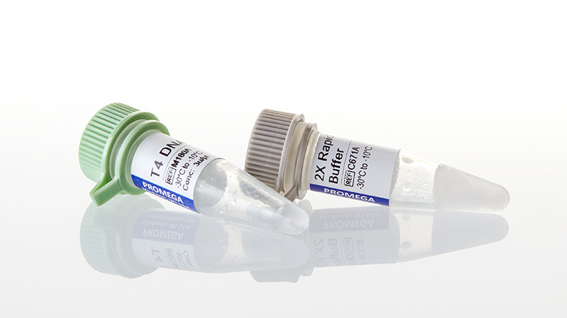 M8221_LigaFast--Rapid-DNA-Ligation-System_3