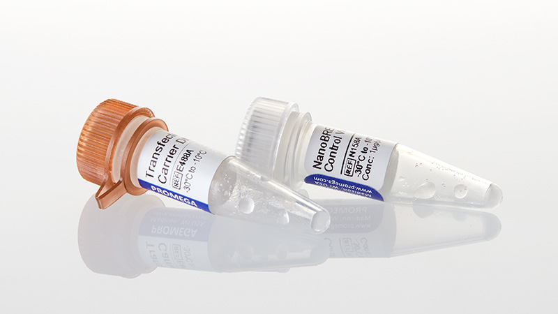 N1581_NanoBRET--Positive-Control_3