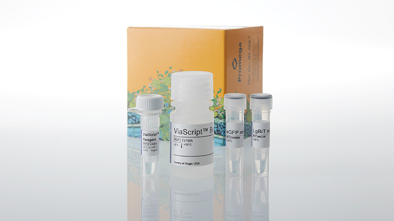 ne1120-viascript-mrna-delivery-system-plus-egfp-10-plates