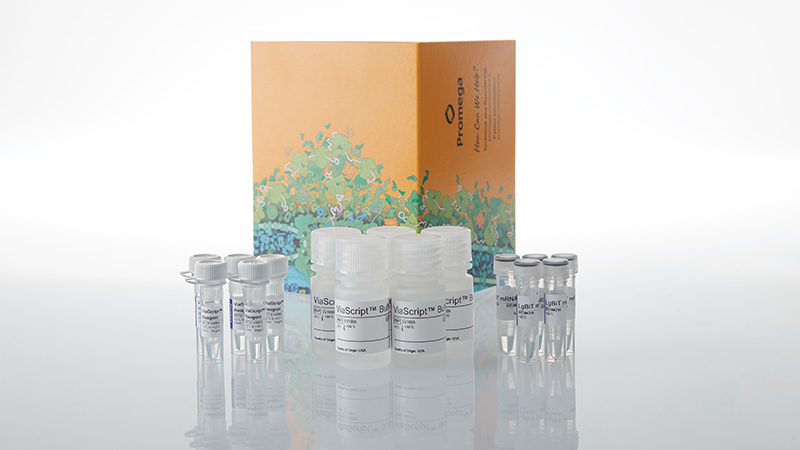 ne1140-viascript-mrna-delivery-system-5-x-10-plates