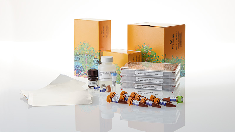 np4060-nanobret-te-k192-kinase-selectivity-system-controls