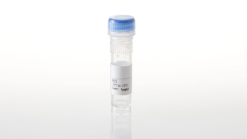 NV3691_MET-D1228H--NanoLuc-