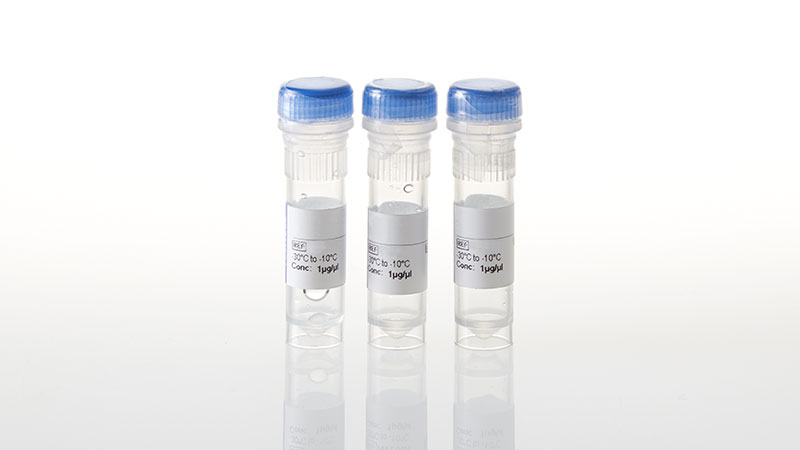 NV4031_PIK3R1 Expression Vector- 20ug