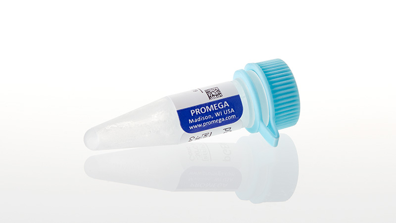 P2151_pGEM--3Z-Vector--20ug_3