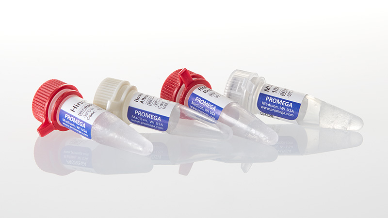 R6041_HindIII--5-000u_3