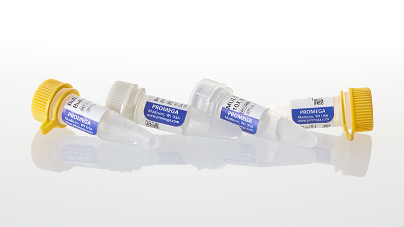 R6071_BglI--1-000u_3