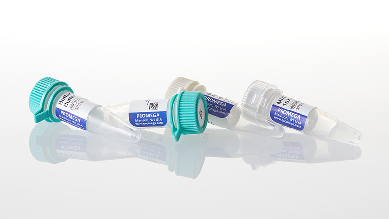 R6121_SmaI--GQ--1-000u_3