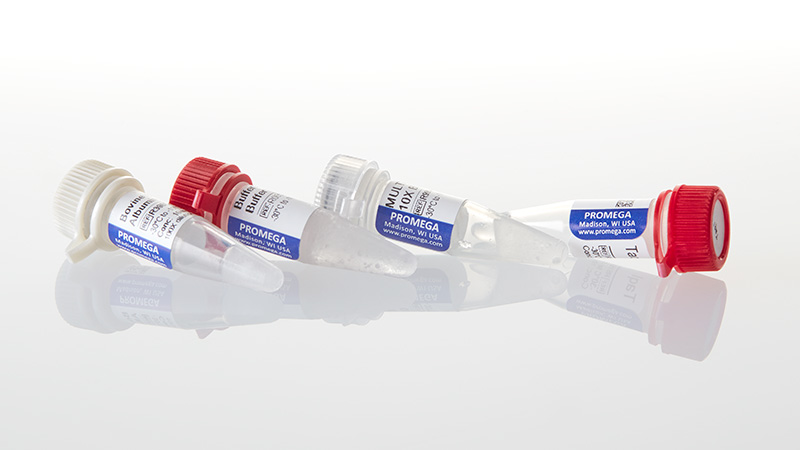 R6151_TaqI--1-000u_3