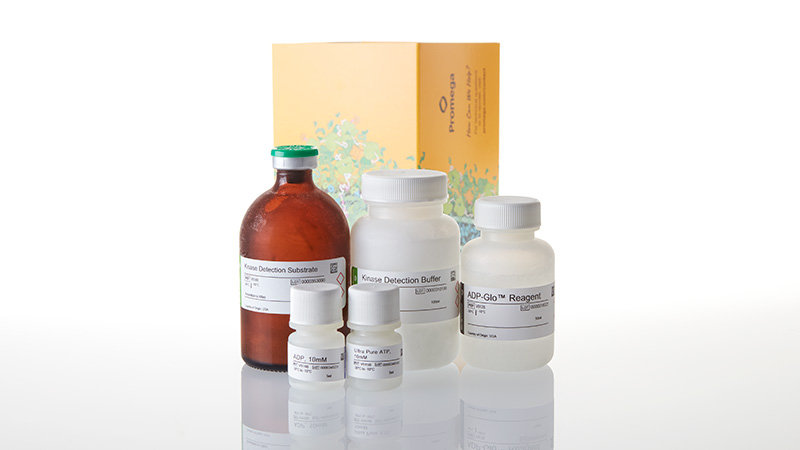 V9102_ADP-Glo-Kinase-Assay-10-000-Assays_3