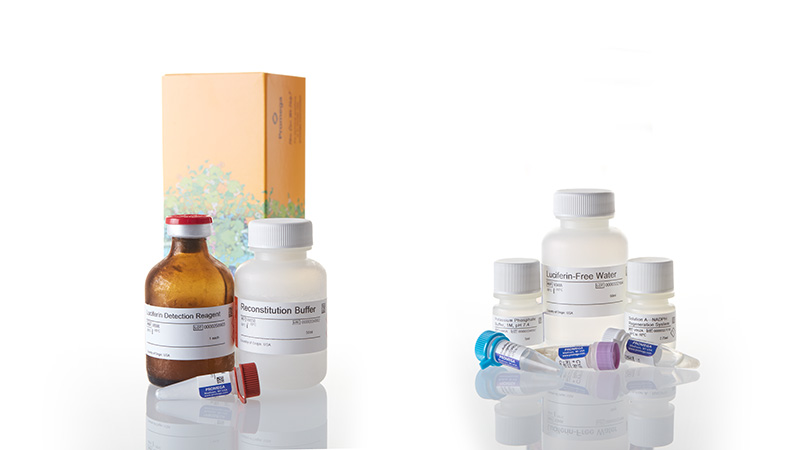 V9770_P450-Glo-CYP1A2