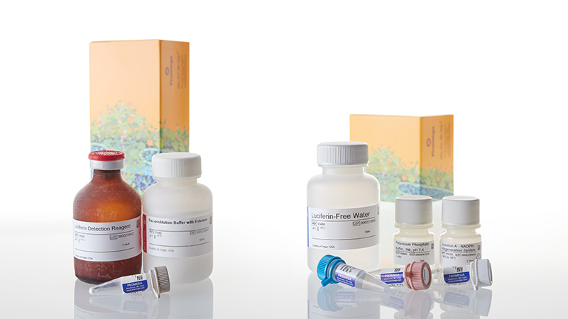 V9890_P450-Glo-CYP2D6