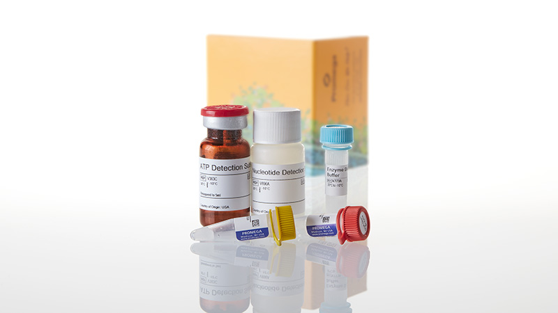 VA1090_GDP-Glo-Glycosyltransferase-Assay