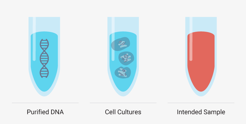 automated-nucleic-acid-extraction-image07