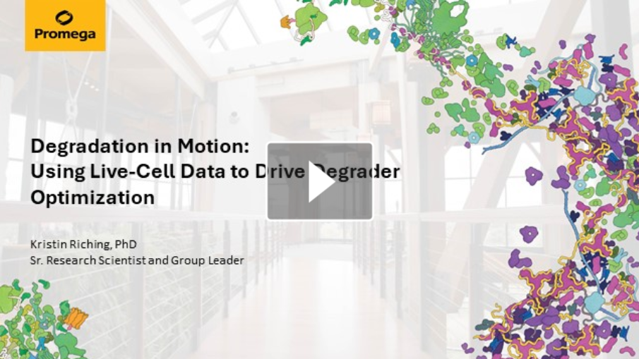 screenshot-2025-07-15-143319