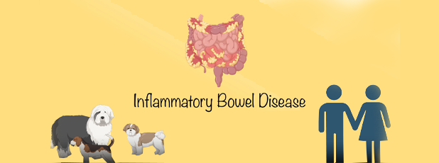 conten-img-georg-csukovich