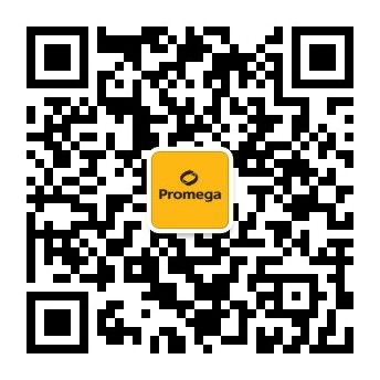 分子诊断微信公众号