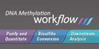 DNA Methylation Workflow140x80