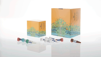 dc8020-versaplex-31p-system-1