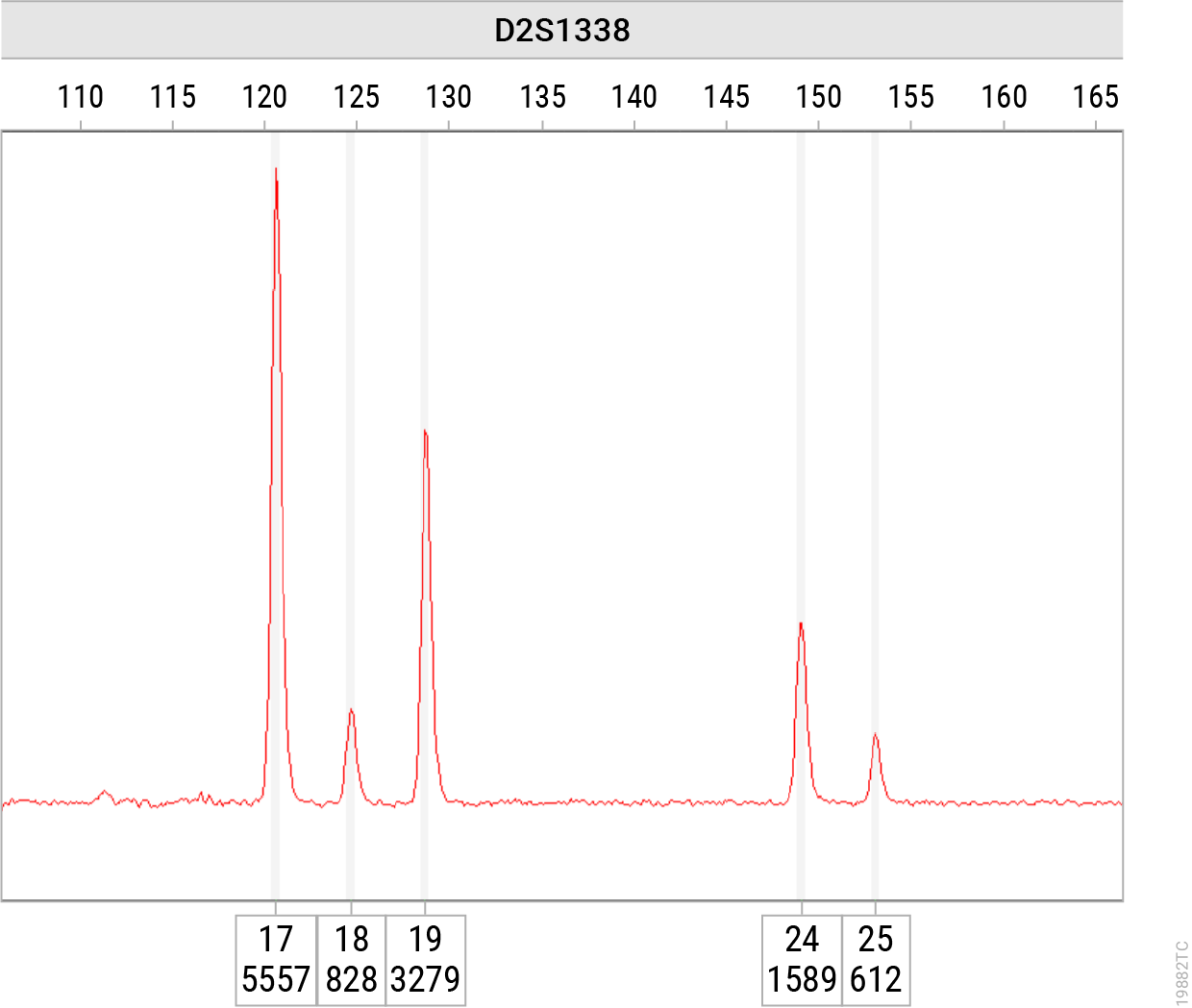 Electropherogram showing D2S1338 locus results from a three-person mixture analyzed with the Paradyme™ 27GY STR System. Discrete peaks are displayed in red at allele positions 17–25, demonstrating clearer mixture resolution compared to the non-RSP system.