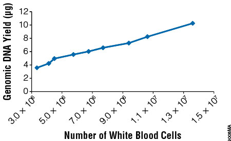 Genomic DNA yield varies with white blood cell count.