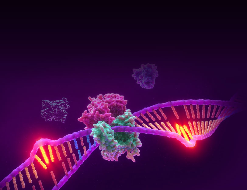 Microsatellite instability MSI analysis illustration