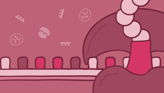 proteinexpressionsubpage-detection-three-web